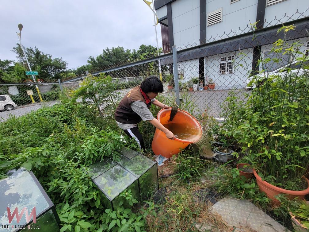 花蓮防疫再進化！苦茶粕抗蚊效果直逼芬普尼打造綠色防線