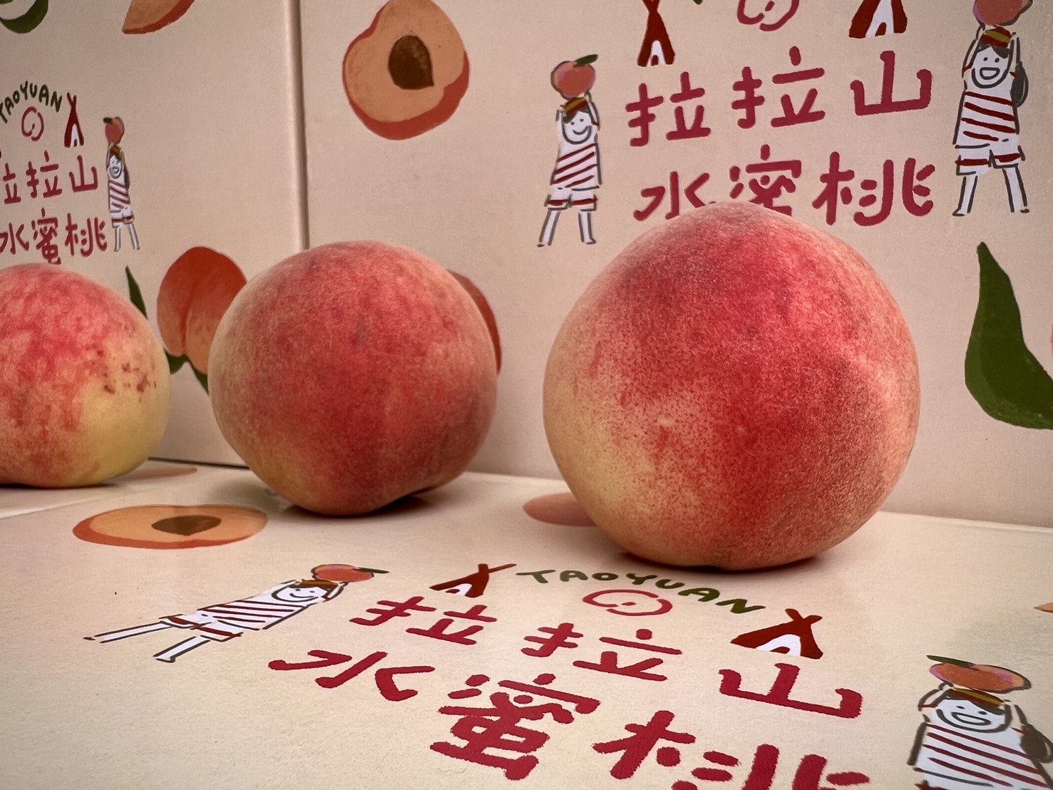 桃園媽媽桃網路預購千盒秒殺 台茂粉紅市集5/9起現貨開賣 1052073 0