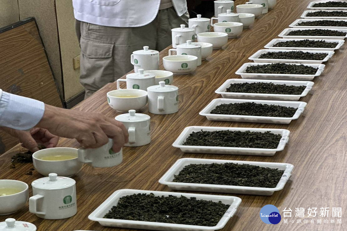 115年桃園蘆峰烏龍茶春季優良包種茶評鑑競賽,專業評審依外觀、水色、香氣及滋味等項目進行綜合評比。