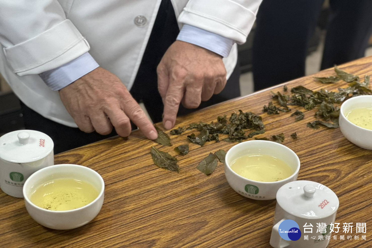 115年桃園蘆峰烏龍茶春季優良包種茶評鑑競賽,專業評審依外觀、水色、香氣及滋味等項目進行綜合評比。