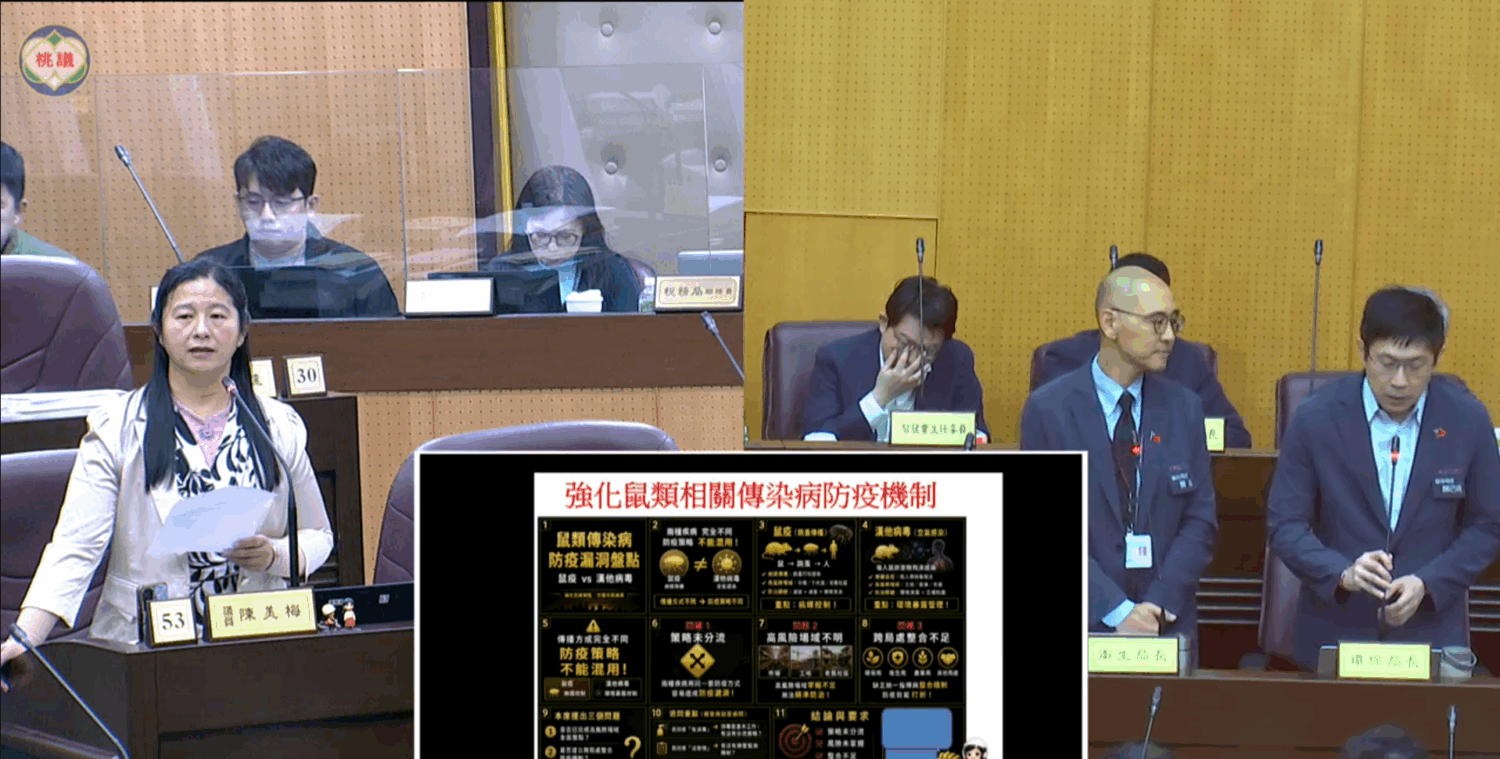 桃園市議員陳美梅(左)今(6)日桃園市議會總質詢中,針對近期爆發的鼠患,詢問桃園市政府是否有相關措施。(記者翻攝)