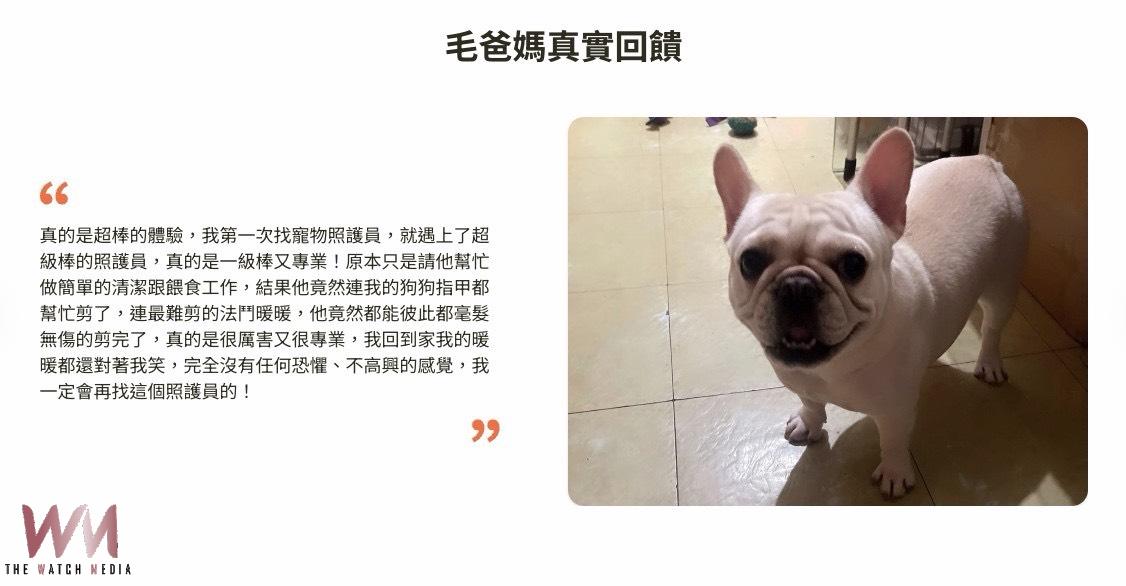 寵物照護產業升級 maokiddo推動合法專業新模式 - https://www.watchmedia01.com