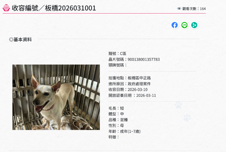 情緒失控持刀傷狗 飼主列黑名單終身禁認養 最重處2年徒刑 48 《圖說》板橋動物之家收容編號。〈動保處提供〉