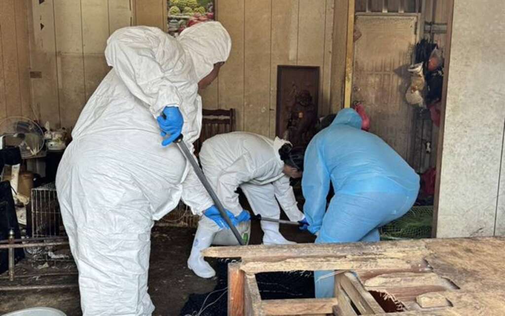 ▲彰化縣動物防疫所今日前往永靖鄉執行動物保護案件犬隻沒入作業時。(圖/彰化縣政府提供)
