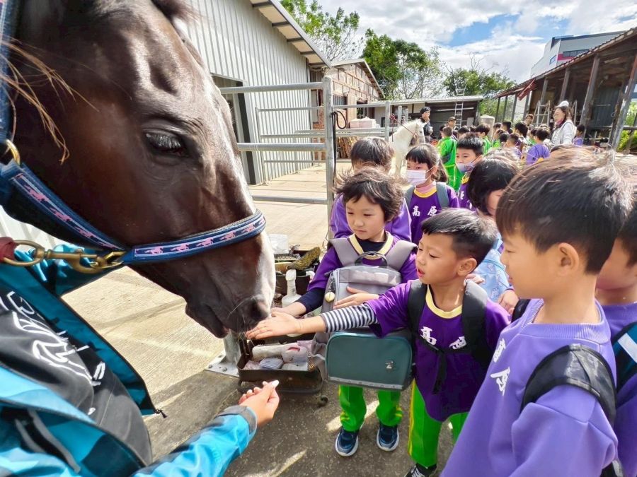 馬術文化展5/22桃園登場 親子近距離認識馬術文化