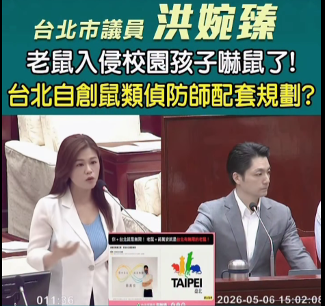 台北市議員洪婉臻質疑市府「鼠類偵防師」政策,配套實施方式不明。(圖/記者鄭元毓翻攝)