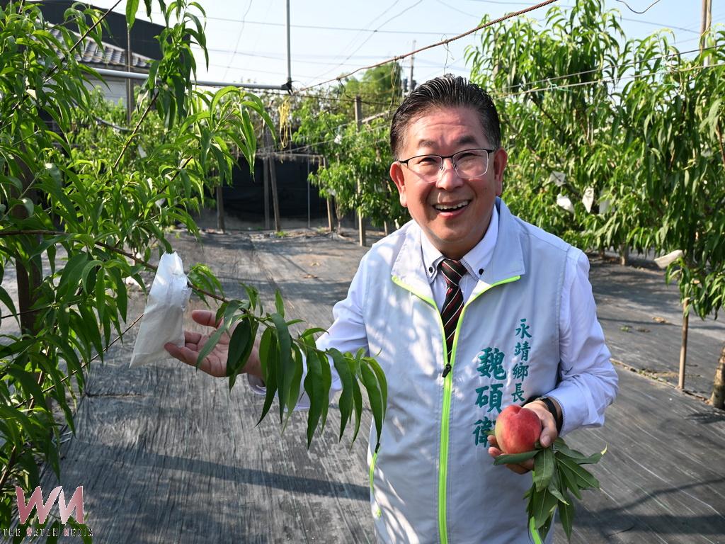 從檳榔荖葉轉作高品質水蜜桃　永靖鄉長魏碩衛喜迎農業轉型寫下新篇章 - https://www.watchmedia01.com