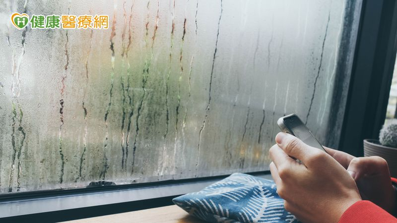 梅雨濕氣纏身難清爽 「體內除濕機」失靈恐影響身體狀態