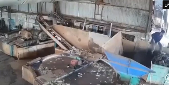 影／慘烈工安事故！越南工人遭橡膠研磨機捲入「當場身亡」　監視器影片瘋傳