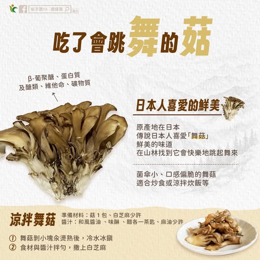 日本舞菇傳說超浪漫!清脆口感富含維他命 涼拌快炒簡單又鮮美 675825229 1276174644661163 131100555847201218 n