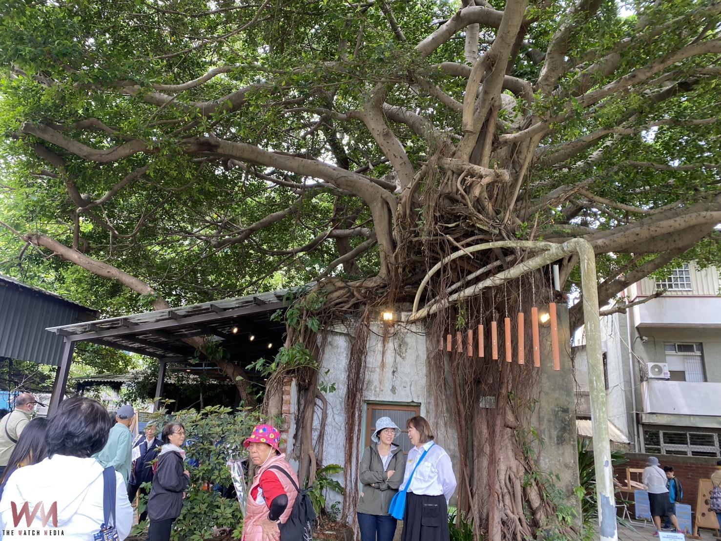 竹市社區規劃師成果展令人驚艷    後站轉運站旁樹屋與菜圃吸引旅客駐足  - https://www.watchmedia01.com