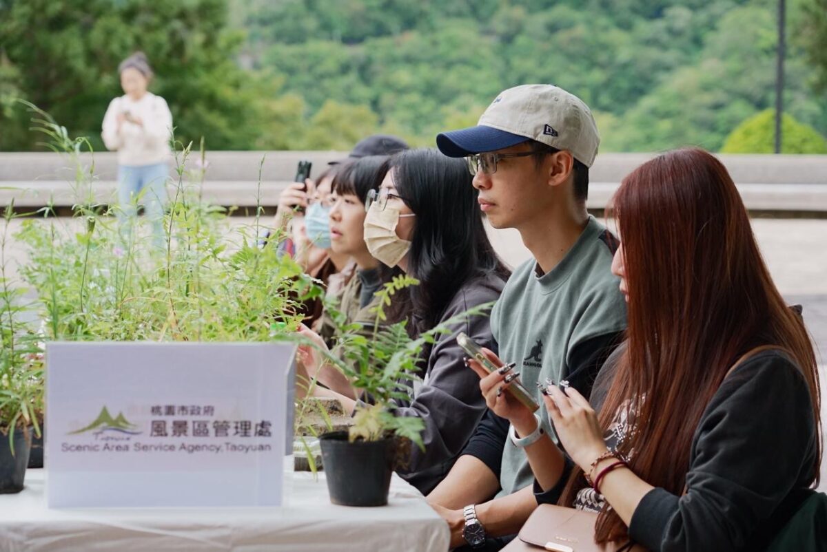 白晝花藝串聯夜間照明 拉拉山巴陵石竹展現暗空旅遊潛力 S 17473543 0