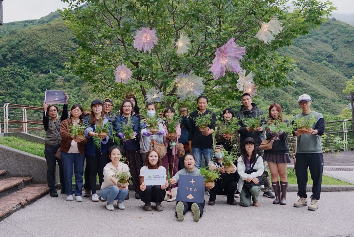 白晝花藝串聯夜間照明 拉拉山巴陵石竹展現暗空旅遊潛力 S 17473545 0