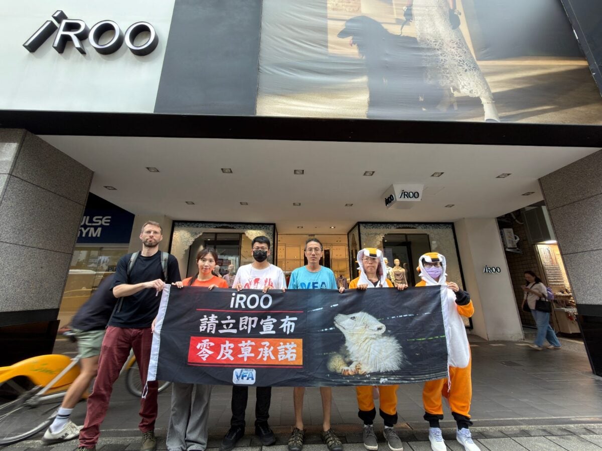 ▲VFA於南西iROO前呼籲品牌公開零皮草承諾