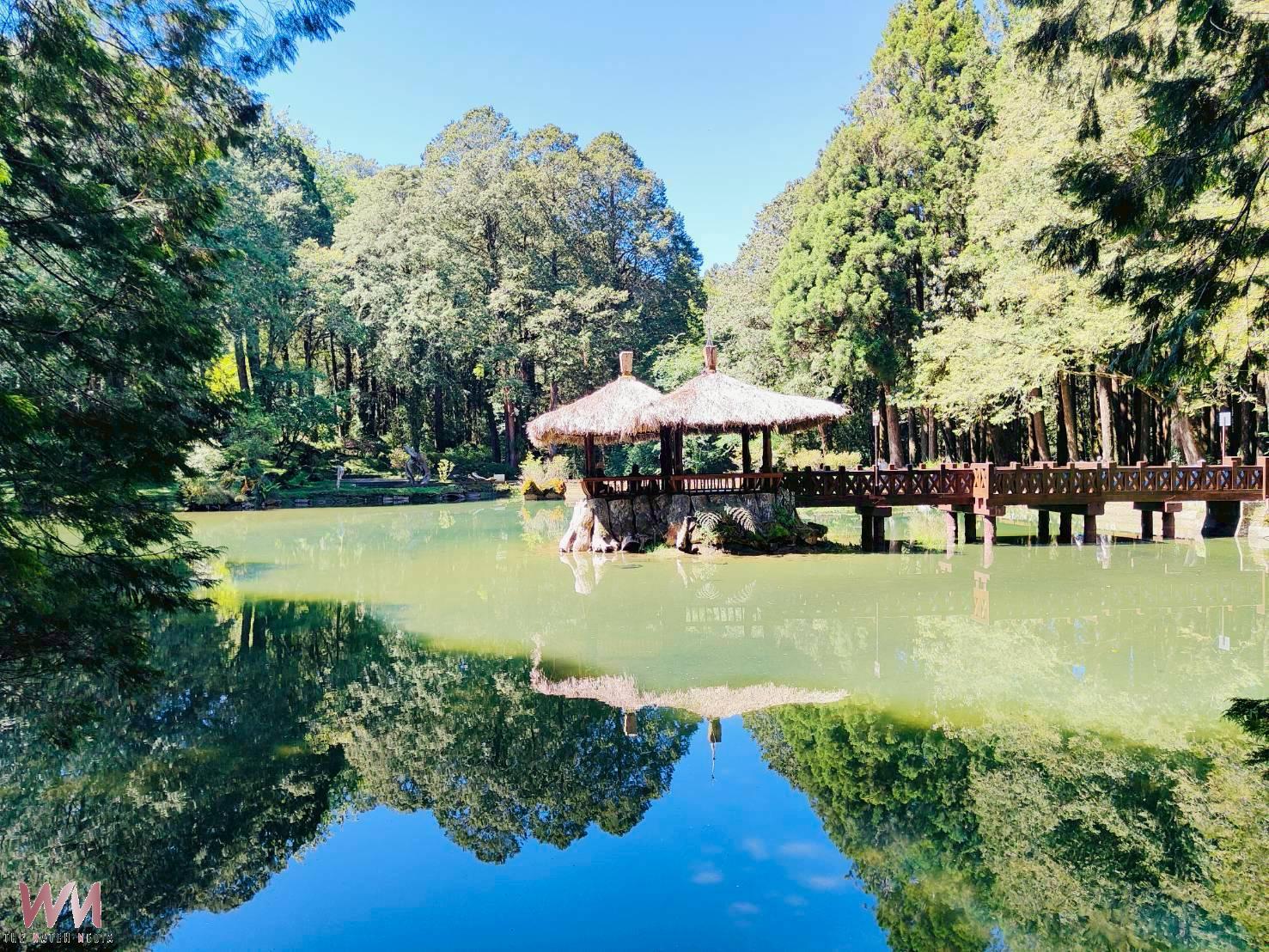 暑假親子搭森鐵遊阿里山 旅宿涼夏優惠輕鬆賞遊 - https://www.watchmedia01.com