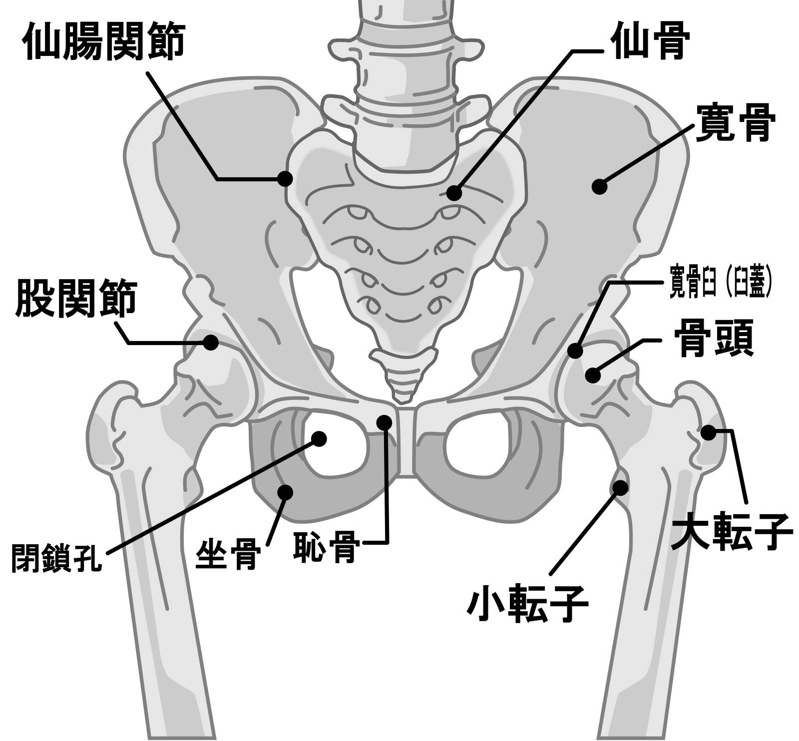 大轉子的圖像