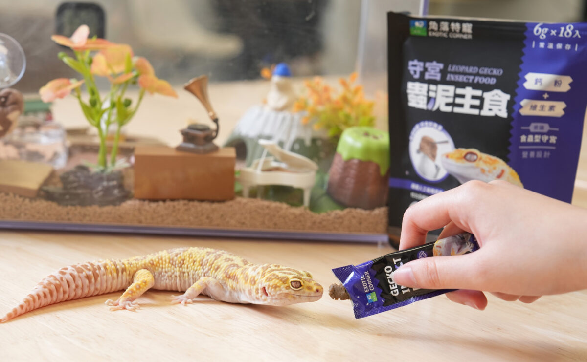 全球寵物商機突破千億 牧羊人集團:進軍國際市場關鍵在理解當地需求 3 19