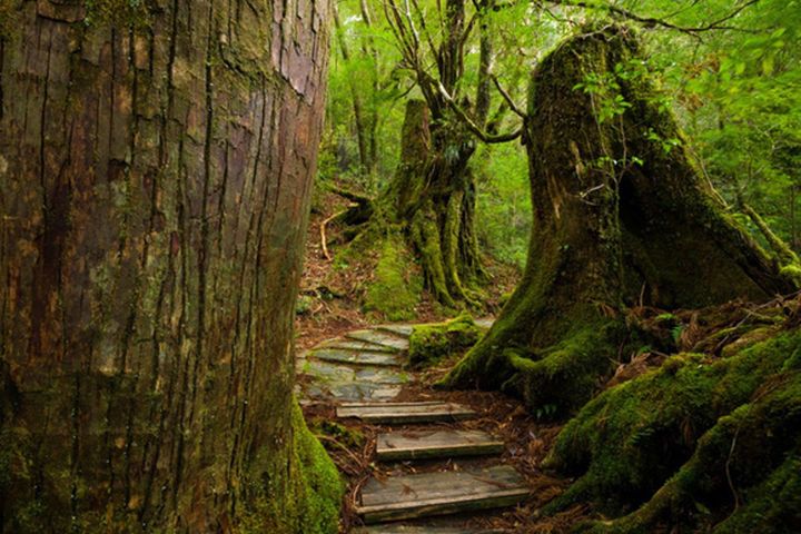 法式美學ｘ日本秘境｜「雅克卡地亞號」瀨戶內、釜山、九州 心發現之旅