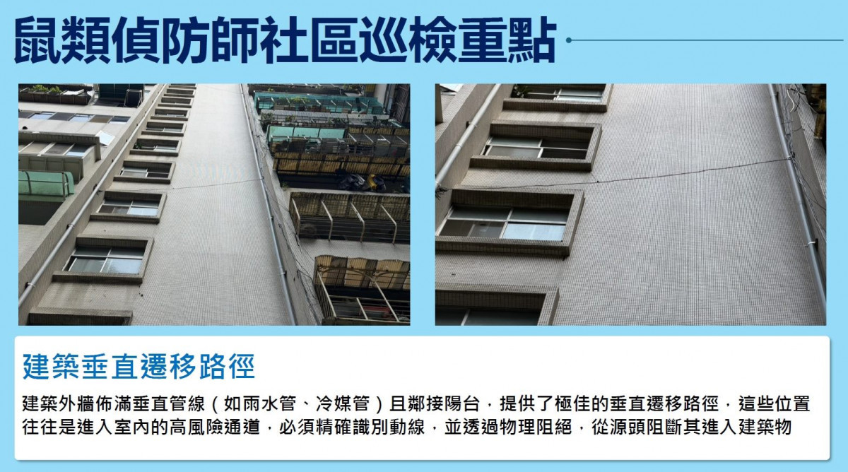 (圖/台北市府環保局水質病媒管制科)