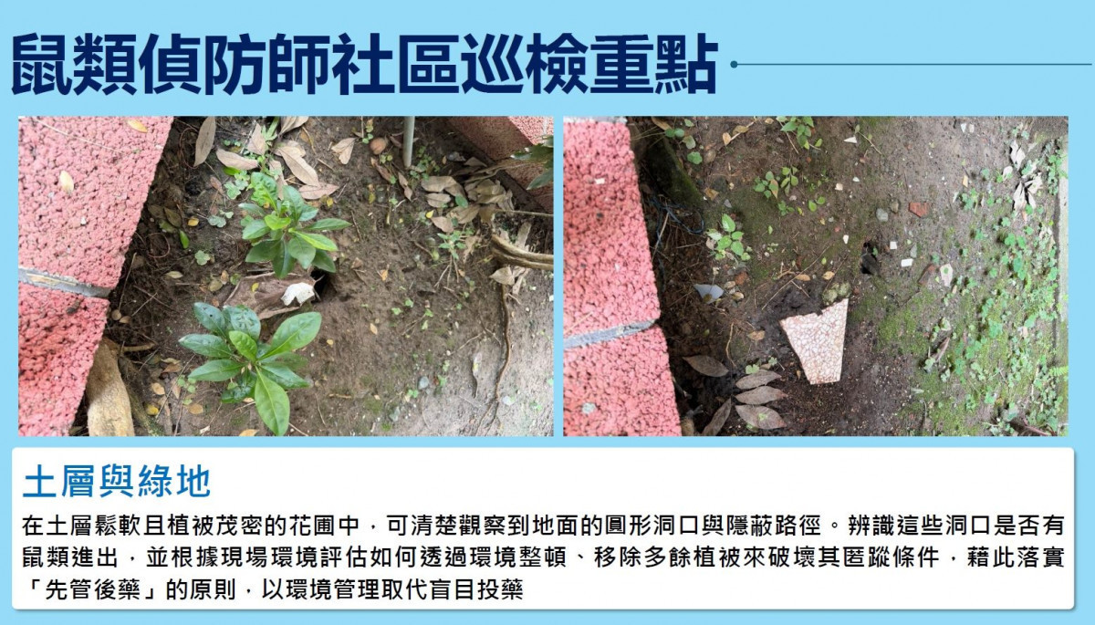 (圖/台北市府環保局水質病媒管制科)