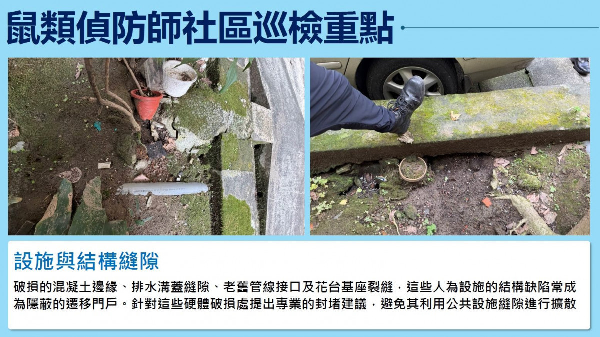 (圖/台北市府環保局水質病媒管制科)
