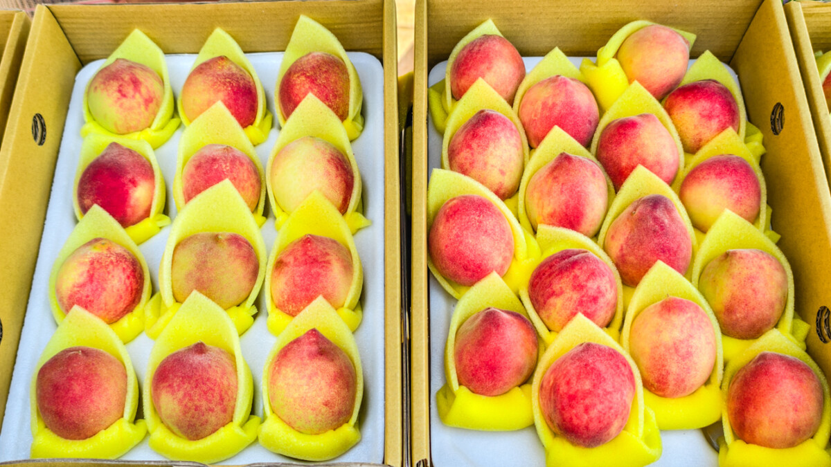 ▲高雄前鎮區鎮東里里辦公處明天義賣那瑪夏水蜜桃與農特產品，歡迎民眾把握機會前往採購。（圖/記者黃淑貞攝）
