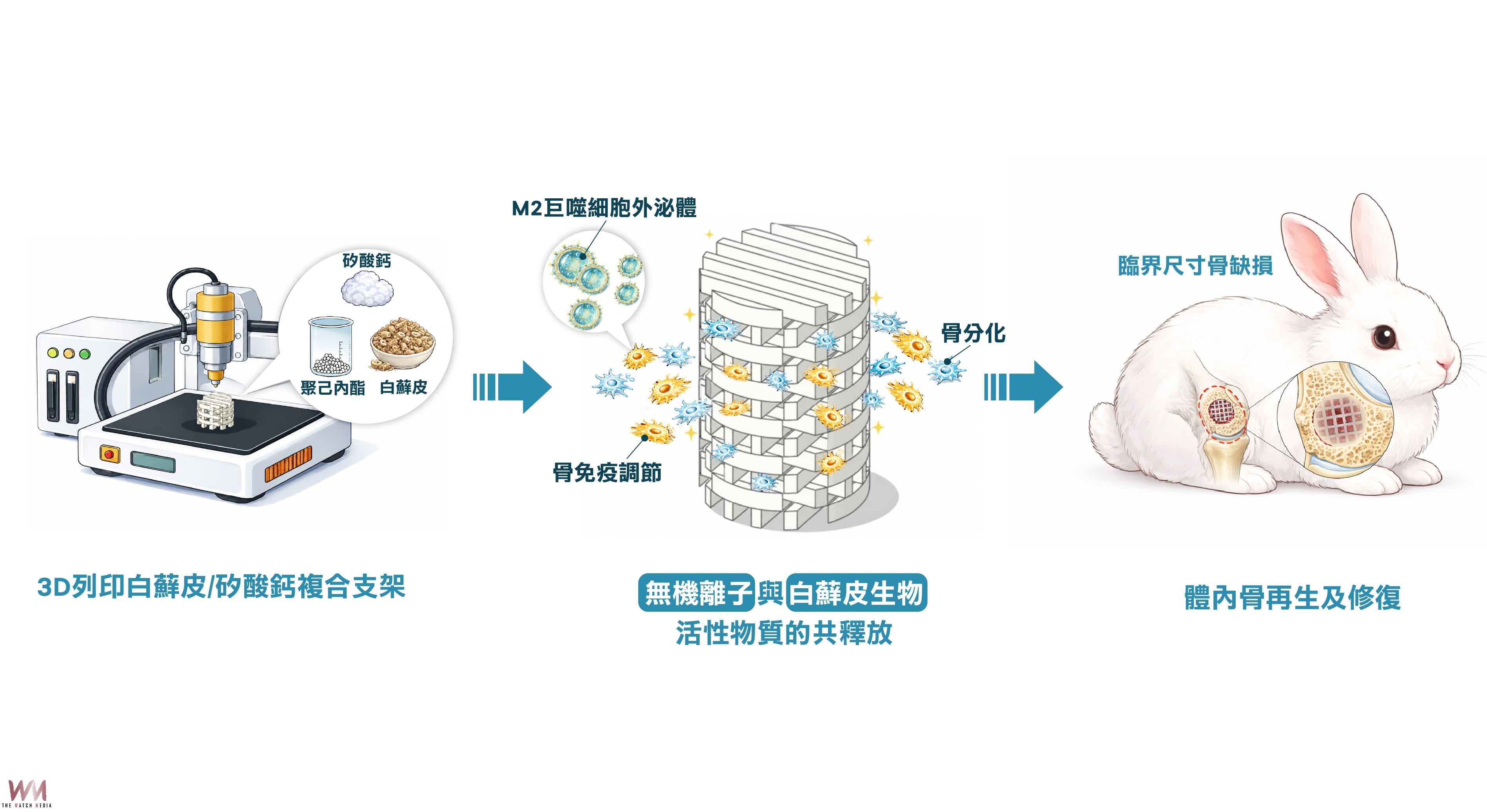 研發3D列印中藥複合支架 中醫大附醫骨再生材料研究登國際期刊 - https://www.watchmedia01.com