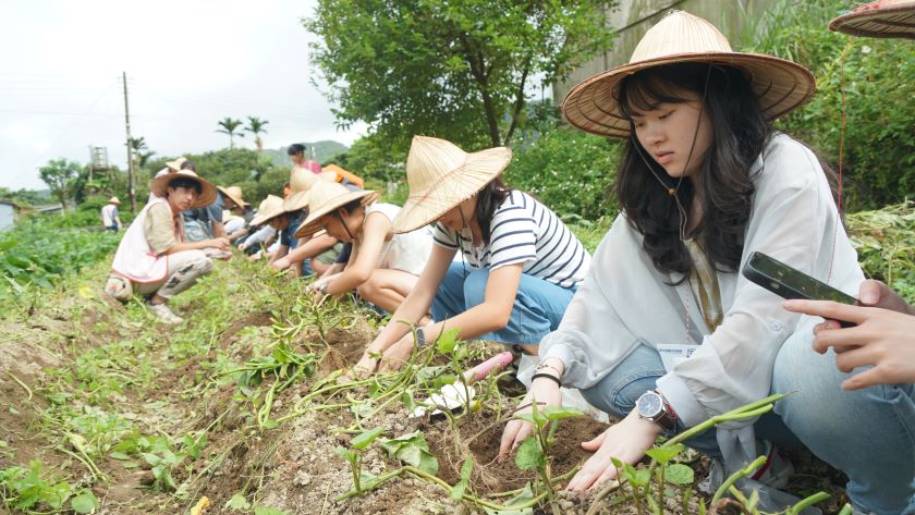 培育綠色青年 新北永續未來學院跨域實作探索永續 44 《圖說》學生於「汪汪地瓜圓-農場漫遊記」課程實地體驗植物種植的樂趣。〈環保局提供〉