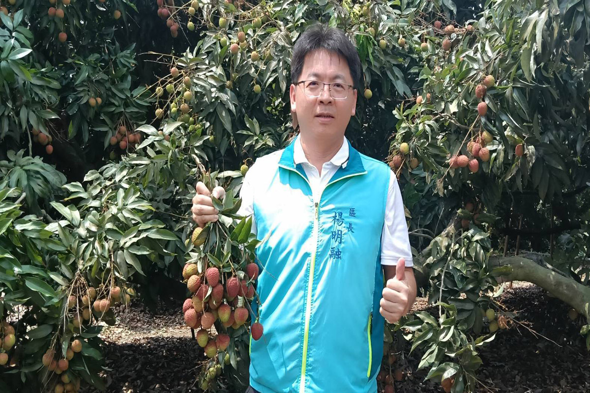 夏季果香來襲　高雄鳳荔季五月開跑熱鬧引爆產地魅力　