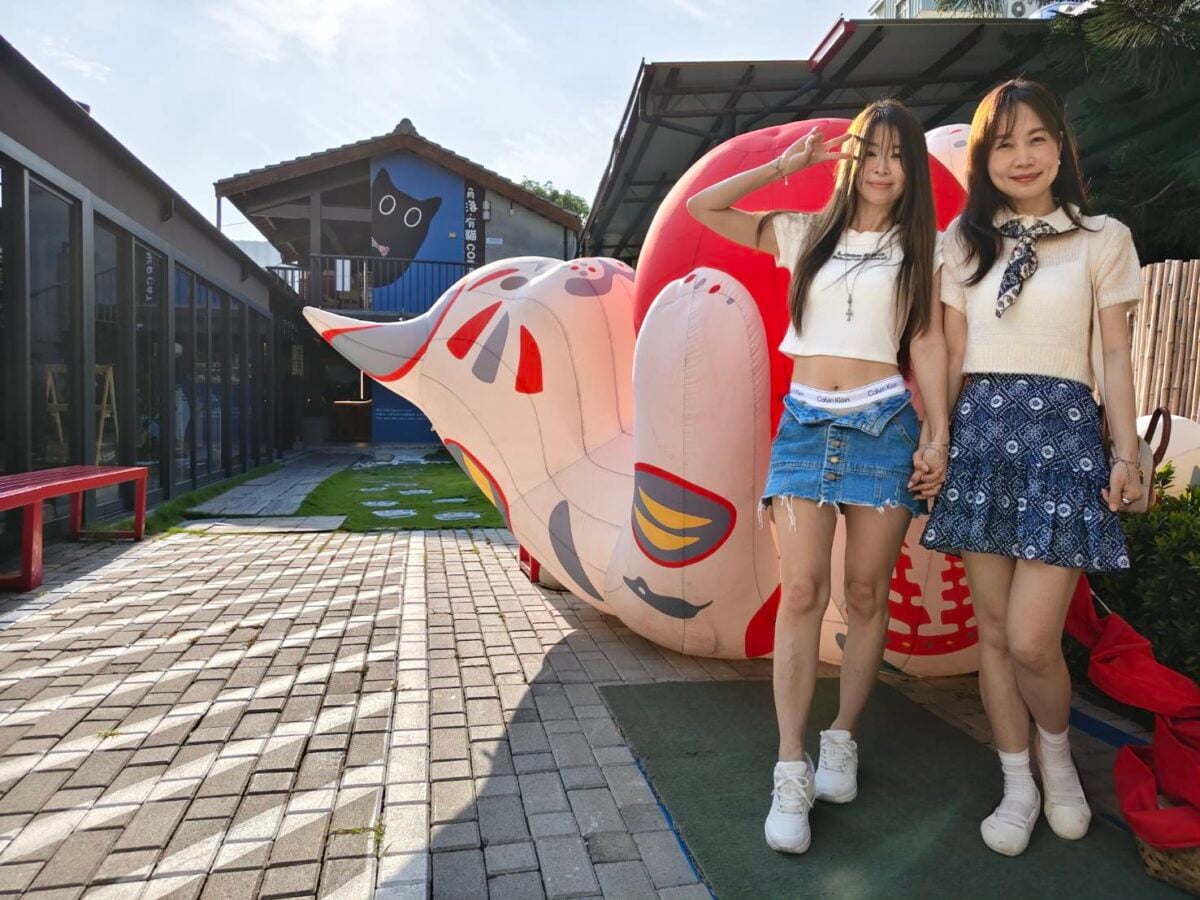 ▲「巷仔Niau」巨大化萌翻!角落有貓變身今夏最夯拍照景點。