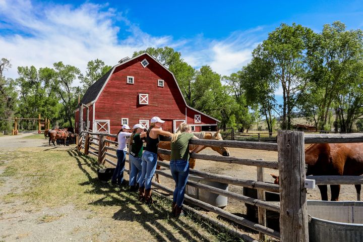 在美國蒙大拿州圓酒吧(Circle Bar Ranch)牧場,孩子們在馬廄圍欄邊享受牛仔體驗假期。 圖:Sublime Public Relations/提供