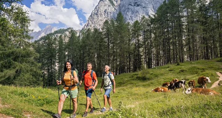 不只看風景!以親身體驗為優先:9場突破舒適圈的冒險旅行