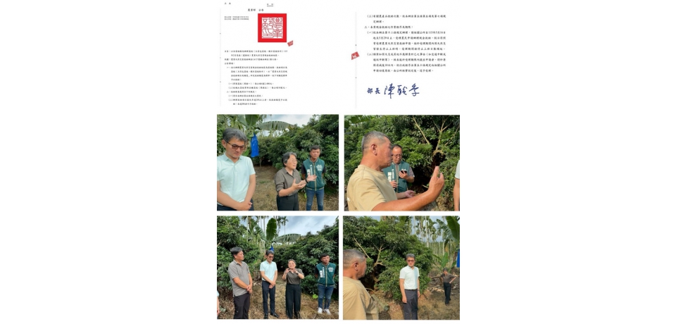 雲林全品項荔枝納入天然災害現金救助　5月16日起受理申請