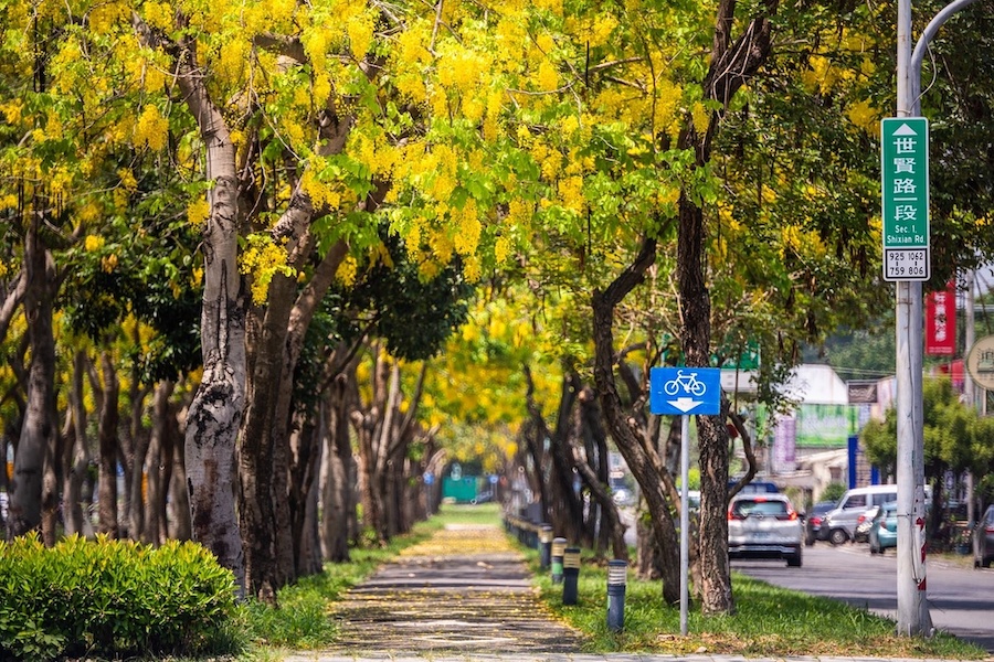 嘉義市府為讓民眾發現屬於嘉義最迷人的日常風景，特地串聯潮選店與皮克敏迷你散步，邀請民眾深入體驗嘉義的人文與街區魅力。（圖/嘉義市政府提供）