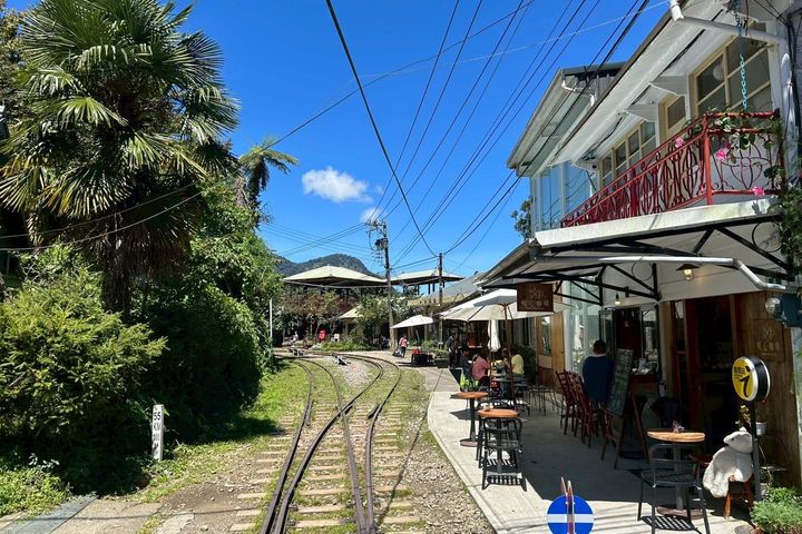 暑假親子鐵道旅再掀熱潮 阿里山賓館「涼夏禮遇」、奢華觀光列車慢遊世界級地景