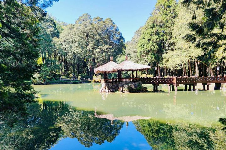 暑假親子鐵道旅再掀熱潮 阿里山賓館「涼夏禮遇」、奢華觀光列車慢遊世界級地景