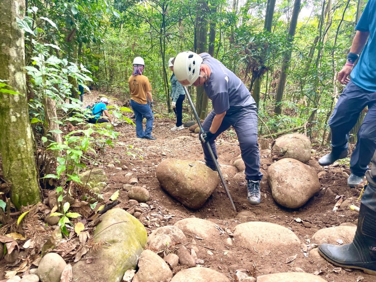 ▲志工們在悶熱天氣下彎腰搬運石材、修整路面。(圖/中市府提供)