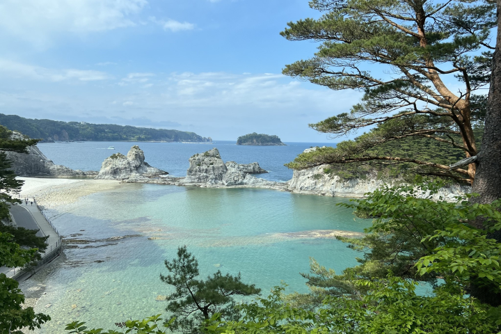 「淨土之濱」由白岩綠松、湛藍海景組成的夏日絕景,讓人一見難忘。 圖:向日遊/提供