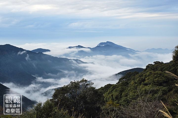 雲霧繚繞的觀霧森林,是泰雅族世代傳承山林智慧的傳統領域(劉謹毓/攝影)。 圖:森之形自然教育團隊/提供