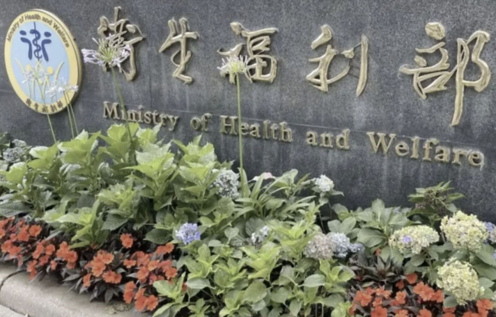 65歲亡領嘸國民年金掀「信任危機」 衛福部急拆彈!點頭放寬這一項 230 65歲亡領嘸國民年金掀「信任危機」 衛福部急拆彈!點頭放寬這一項 229