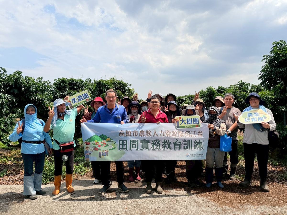▲從徵才到實戰訓練,高市農業局全力支援玉荷包採收季。