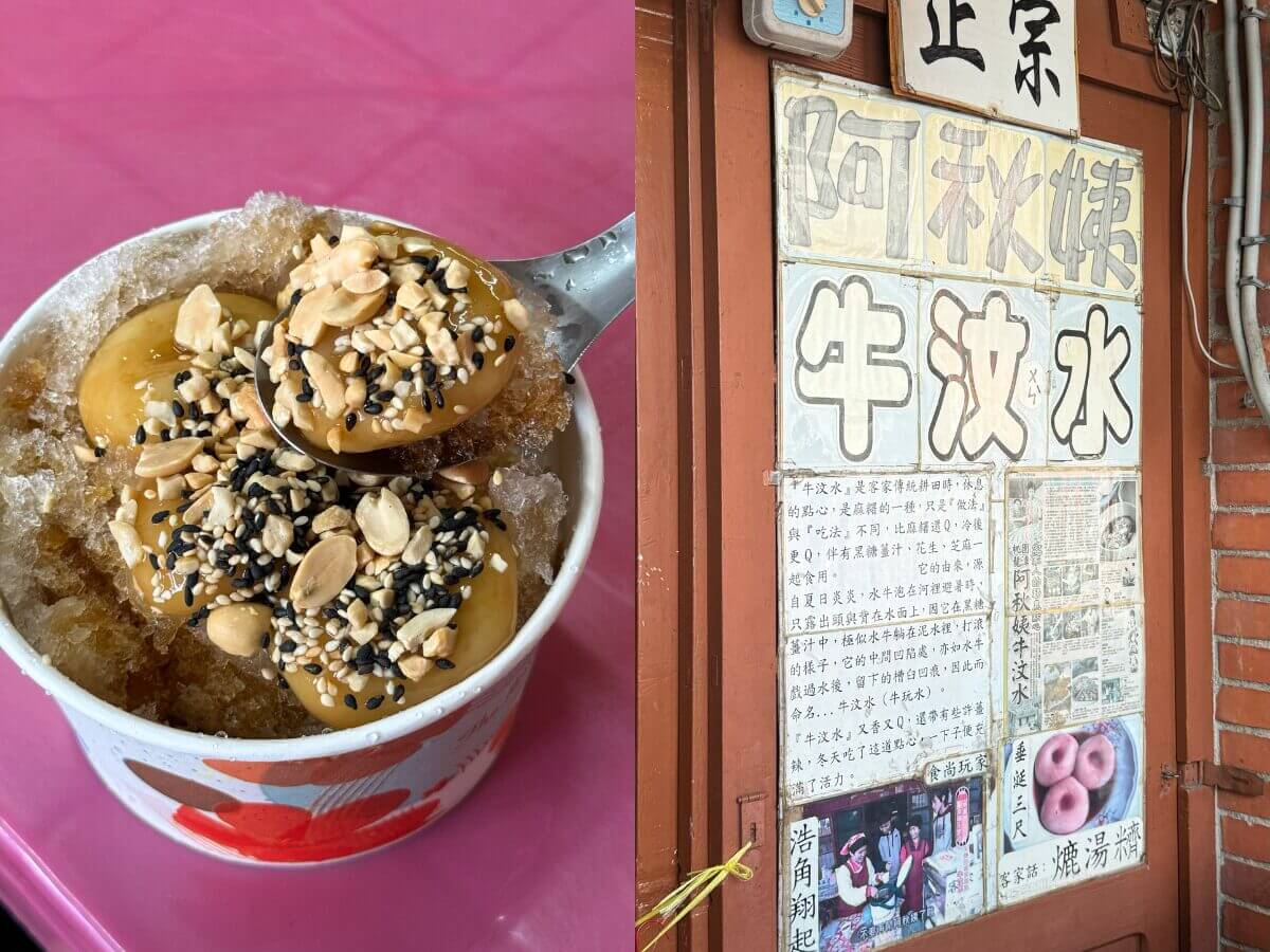 桃園賞桐花一日遊｜打卡龍潭限定五月雪！公開被低估的客家老街美食TOP3