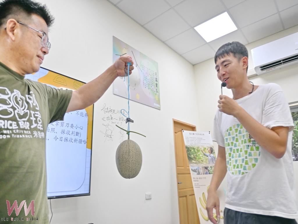 一顆八百元頂級洋香瓜從採摘到品嘗 福興青農陳照委帶遊客感受台灣農業魅力 - https://www.watchmedia01.com