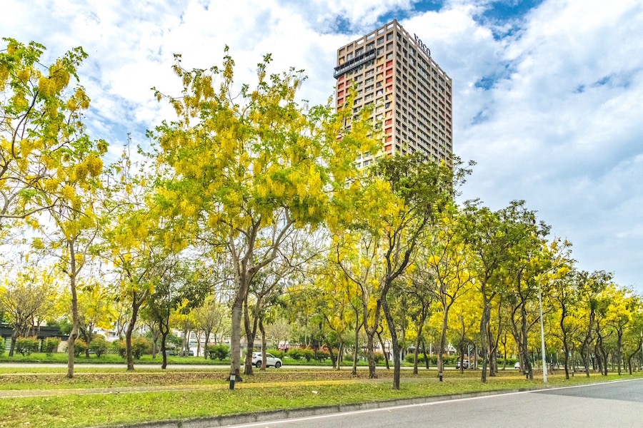 嘉義101福容voco酒店，為歡慶品牌兩週年，結合嘉義限定花季景觀，特推出「壽星住一送一」住房專案。（圖/福容voco酒店提供）