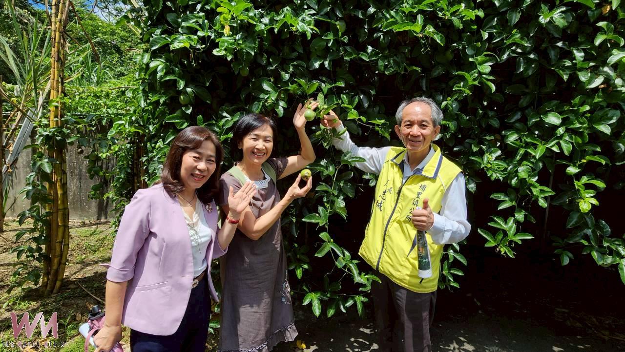 埔里鎮百年水道再現風華第一淨水場轉型生態文化園區 - https://www.watchmedia01.com