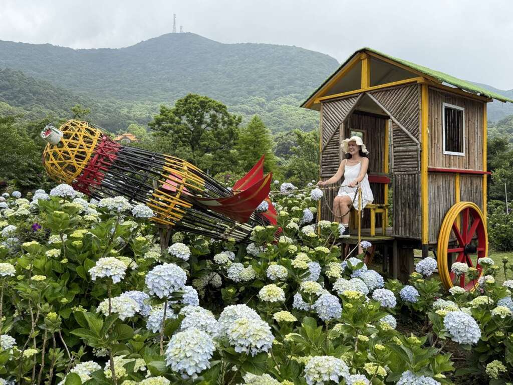 ▲繡球花地景藝術。