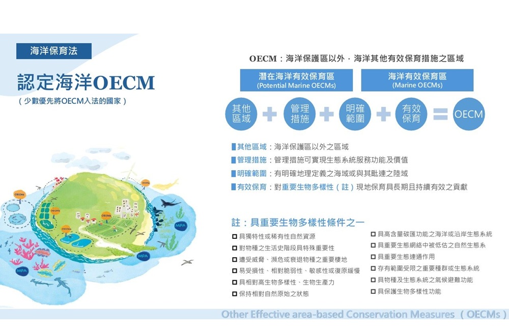 522國際生物多樣性日 管碧玲:臺灣OECM制度化與落地成果領先國際 196 cnews204260522a10