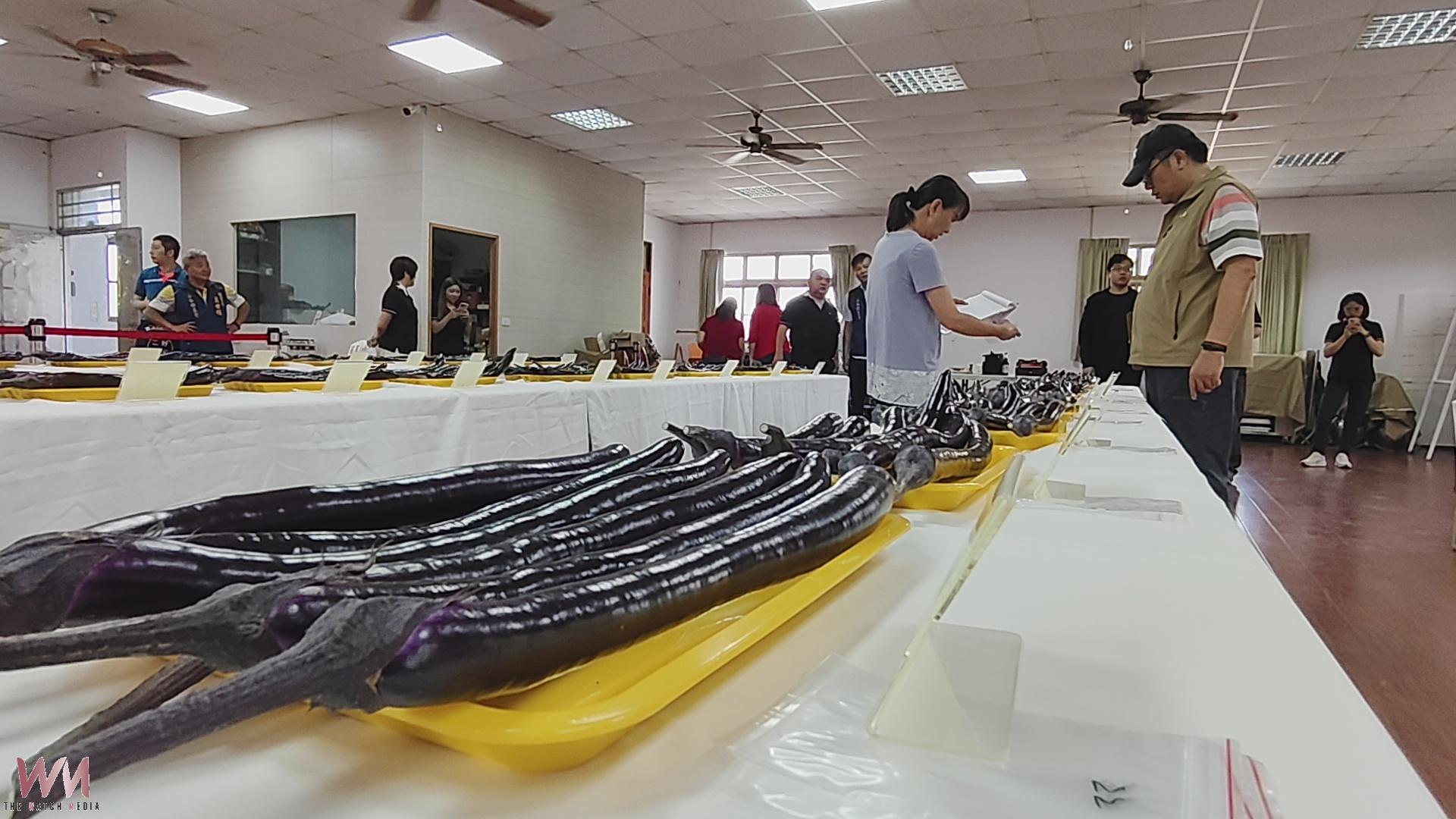 (有影片)/彰化茄子評鑑登場 永靖農友奪冠、端午買氣看漲 - https://www.watchmedia01.com