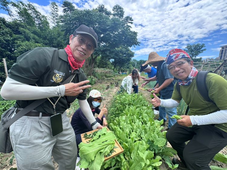 走進三峽野菜園 新北推原民食農教育體驗慢食文化 65 《圖說》學員親手採集當季野菜,體驗原住民族「現採現煮」的飲食文化。〈原民局提供〉