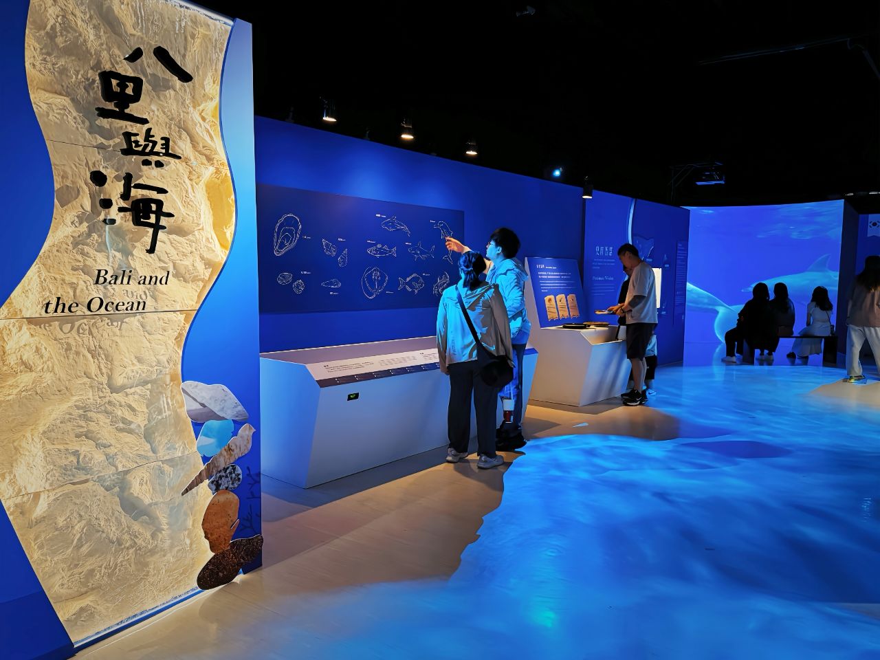 八里直通濟州島！　十三行博物館「海海人生」一次看懂海洋女人的勇敢人生